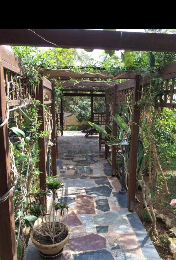 Villa Natalia أيا نابا المظهر الخارجي الصورة