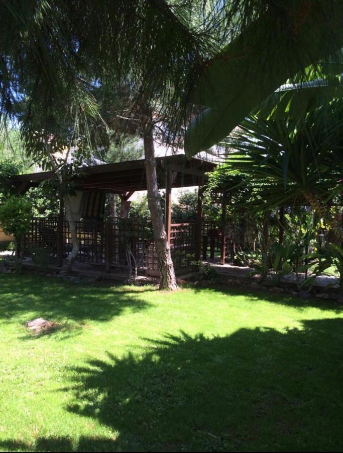 Villa Natalia أيا نابا المظهر الخارجي الصورة