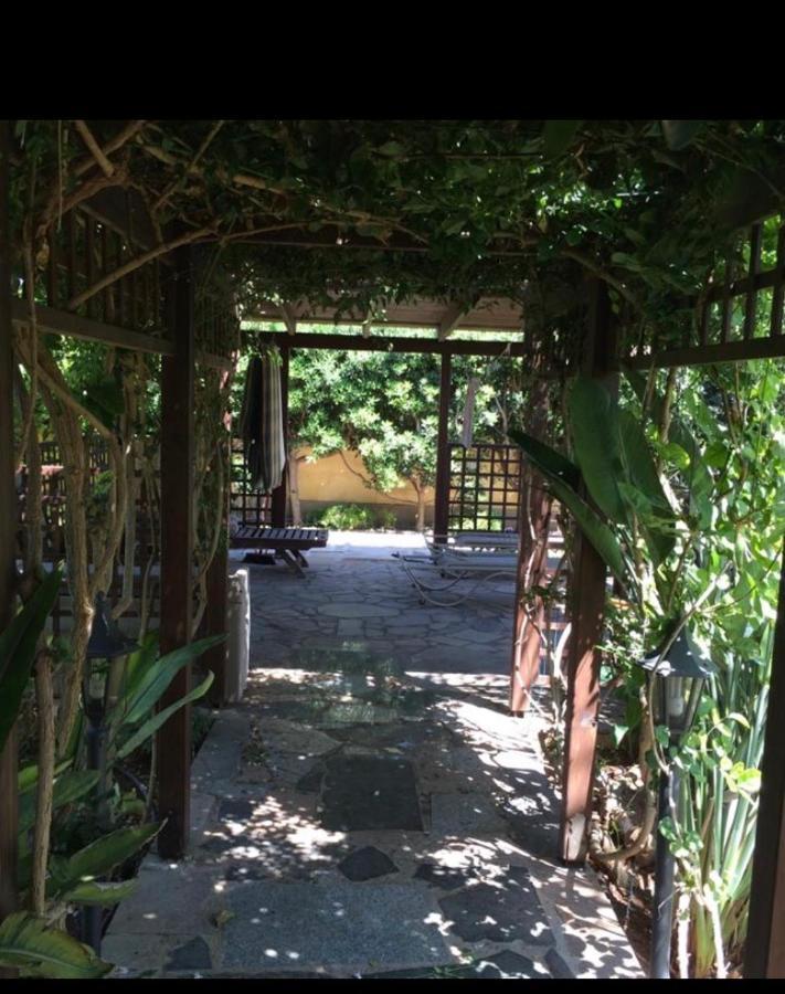 Villa Natalia أيا نابا المظهر الخارجي الصورة